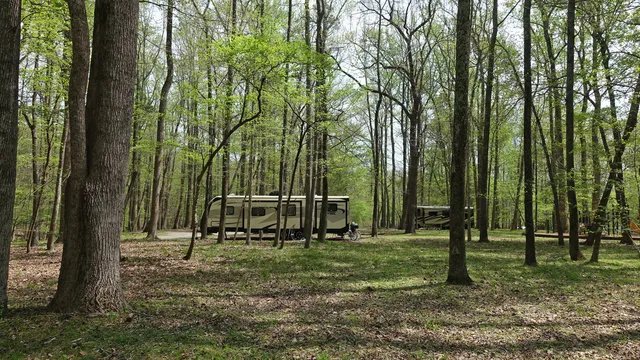 newport-news-park-campground-newport-news-bkf0f