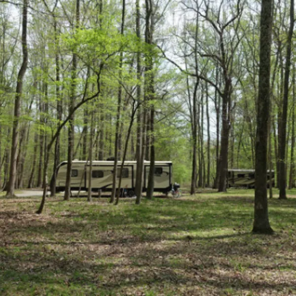 newport-news-park-campground-newport-news-bkf0f
