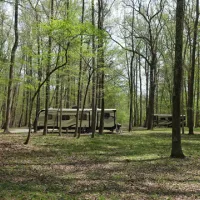 newport-news-park-campground-newport-news-bkf0f