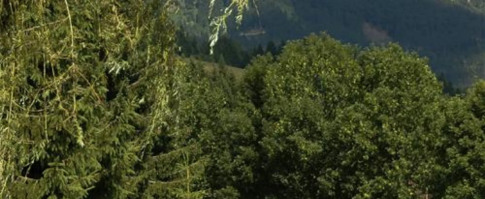 Alpenfreude