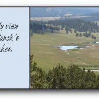 Cross D Bar Trout Ranch