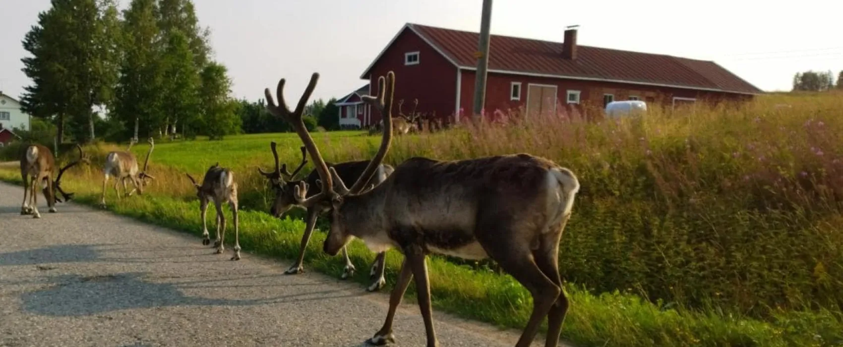 Kieringin Lomakylä