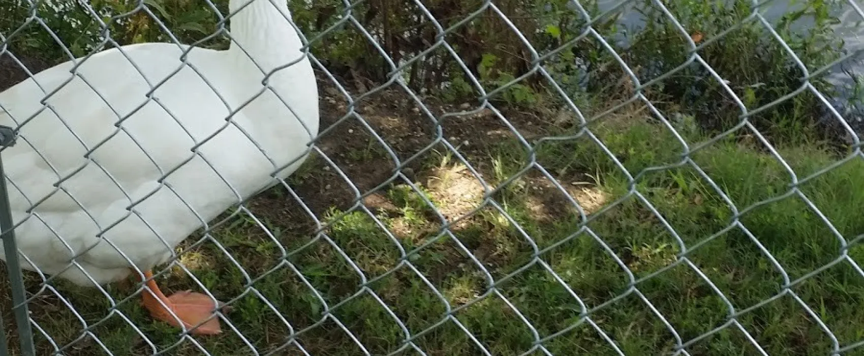 DeerRest Camppark