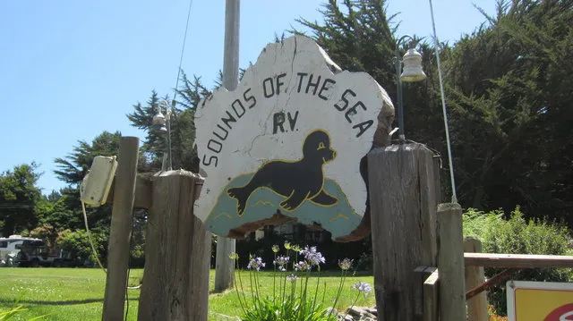 sounds-of-the-sea-trinidad-dqyig