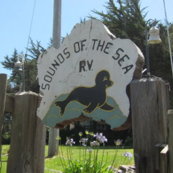 sounds-of-the-sea-trinidad-dqyig