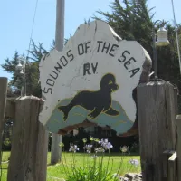 sounds-of-the-sea-trinidad-dqyig