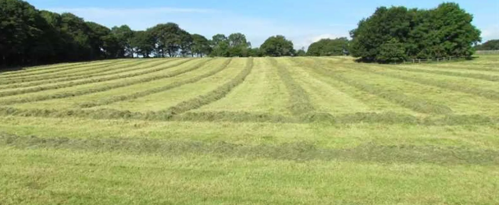 Shallow Grange Farm