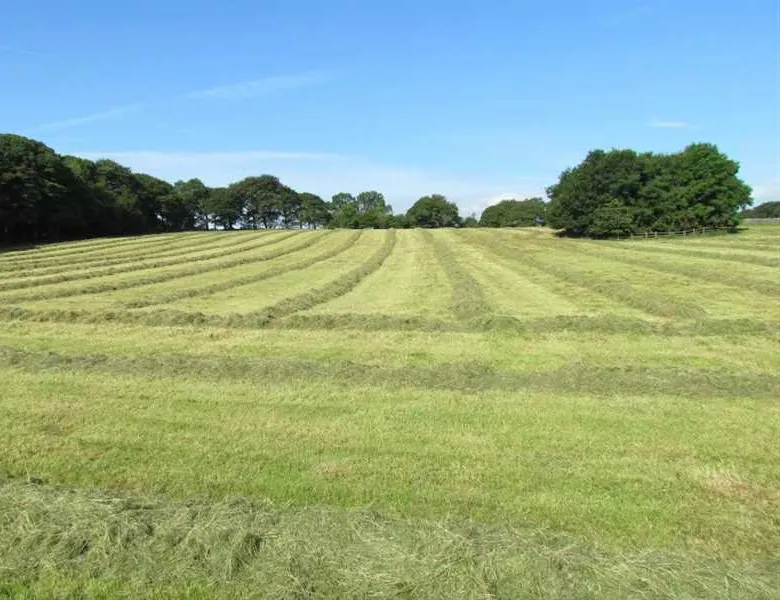 shallow-grange-farm-buxton-ietrv