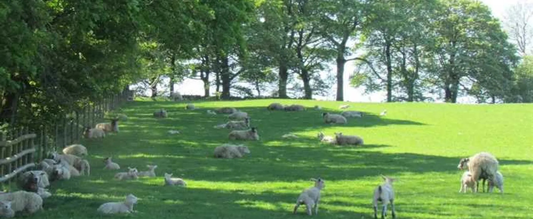 Shallow Grange Farm
