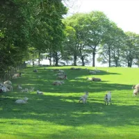 shallow-grange-farm-buxton-ixz0j