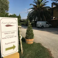 agriturismo-eucaliptus-glamping-bolgheri-hgk4m