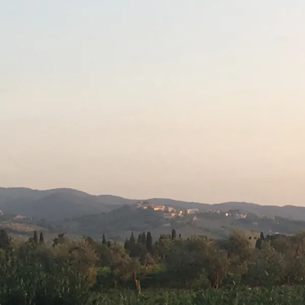 agriturismo-eucaliptus-glamping-bolgheri-ue6y8
