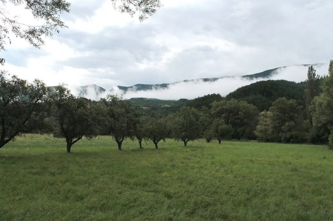 gorges-de-la-meouge-barret-sur-meouge-9gg1d