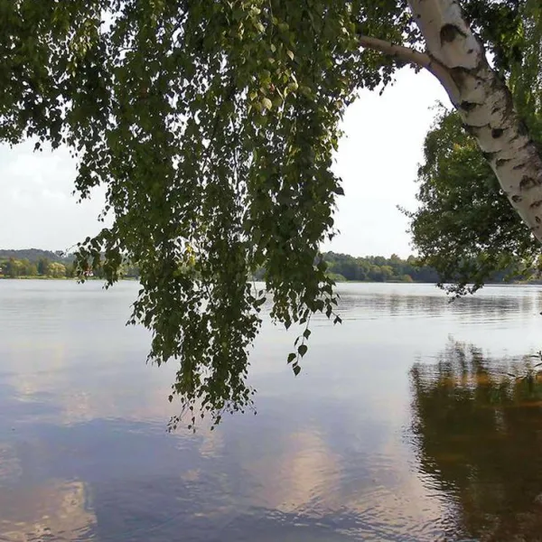 camping-am-see-vaclav-cheb-podhrad-d9wtp