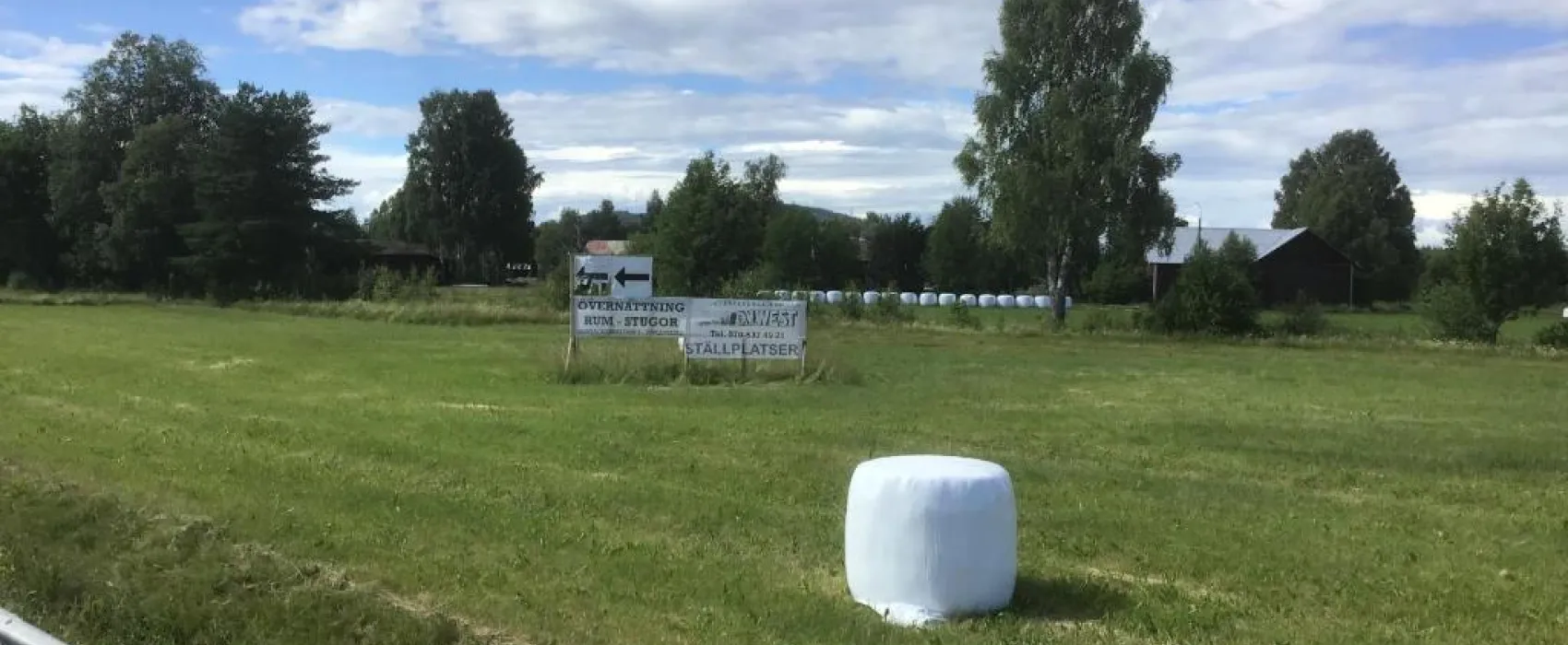Västerdalaonwest 