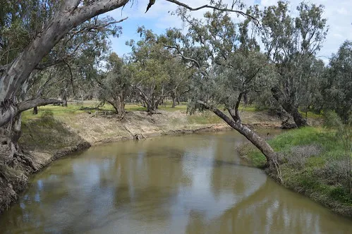euabalong-campground-euabalong-vcpkf