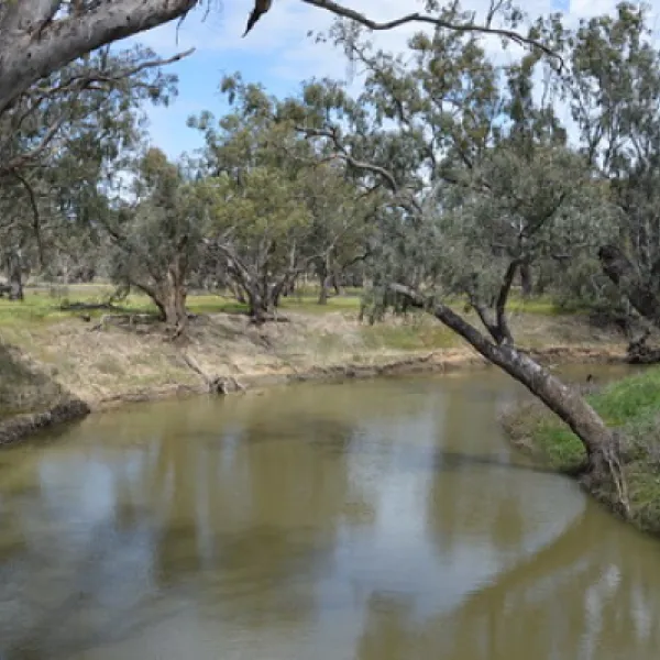 euabalong-campground-euabalong-vcpkf