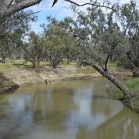 euabalong-campground-euabalong-vcpkf