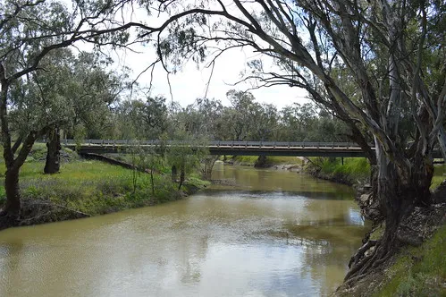 euabalong-campground-euabalong-wjwrh