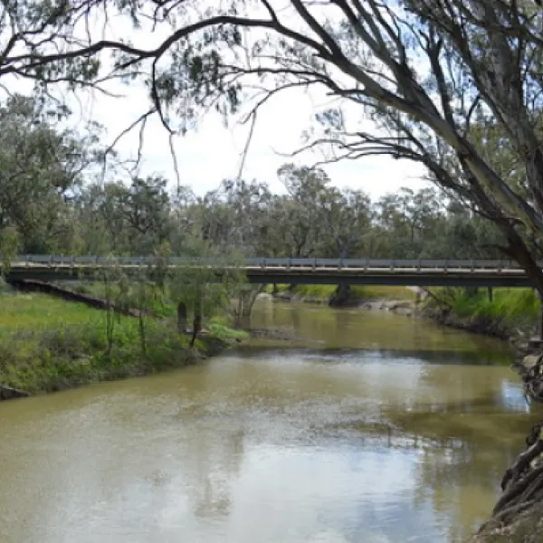 euabalong-campground-euabalong-wjwrh