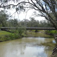 euabalong-campground-euabalong-wjwrh