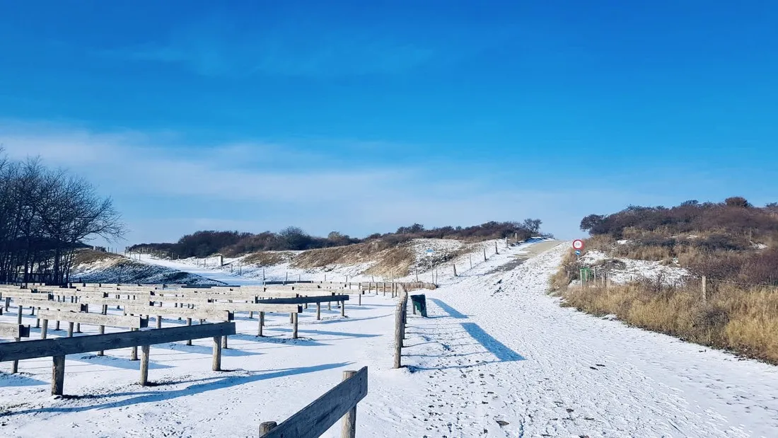 de-brem-renesse-lp4ae