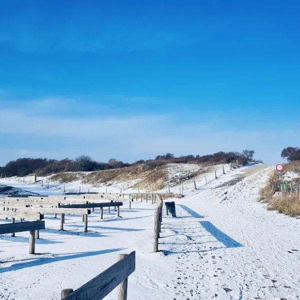 de-brem-renesse-lp4ae