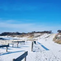 de-brem-renesse-lp4ae