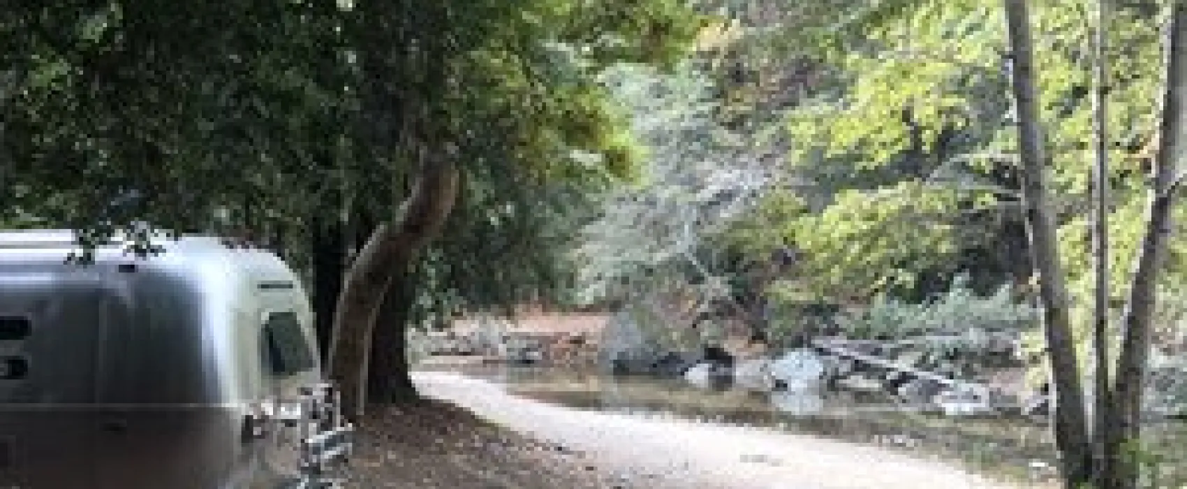 Fernwood Resort 