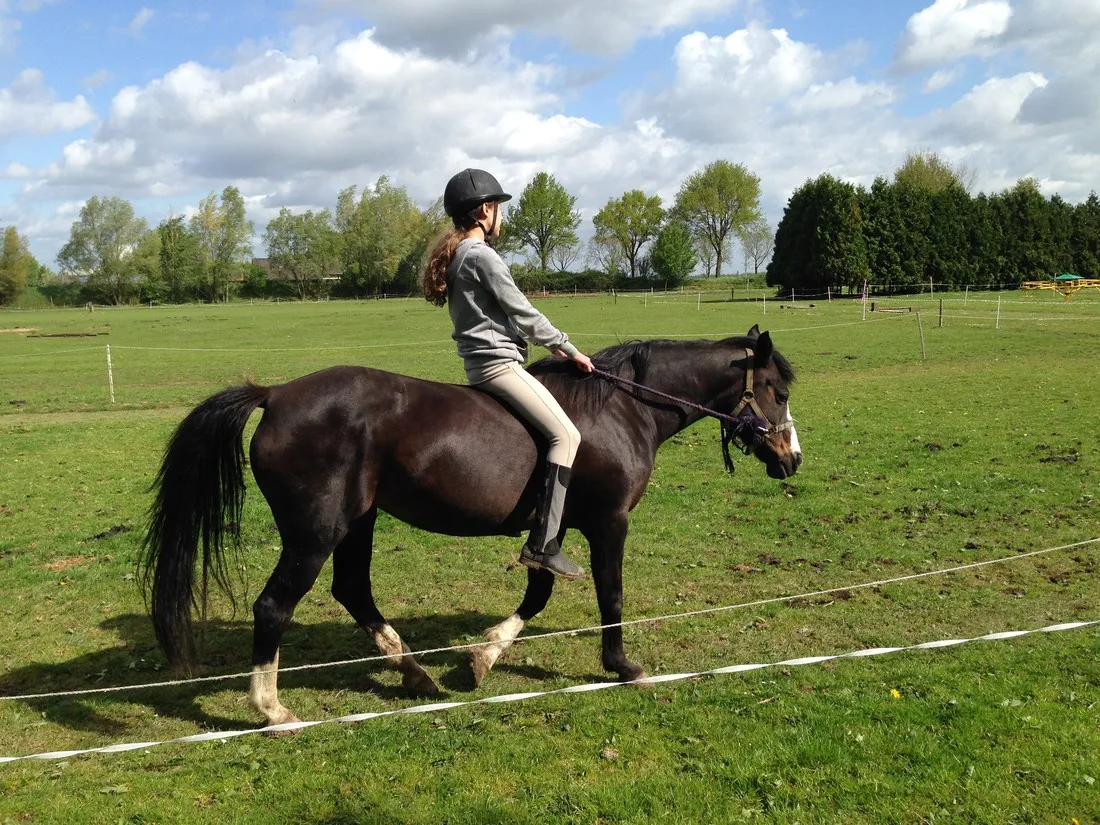 ponyboerderij-s-gravenhof-netterden-eicew