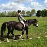 ponyboerderij-s-gravenhof-netterden-eicew