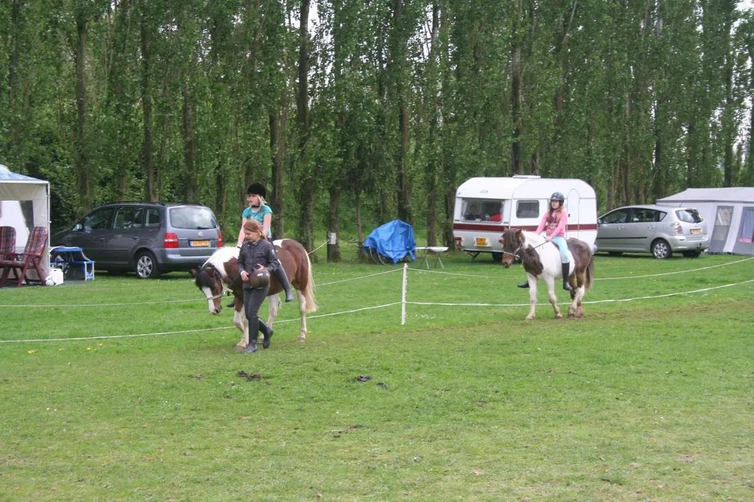 ponyboerderij-s-gravenhof-netterden-jnnyp