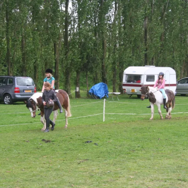 ponyboerderij-s-gravenhof-netterden-jnnyp