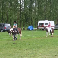 ponyboerderij-s-gravenhof-netterden-jnnyp