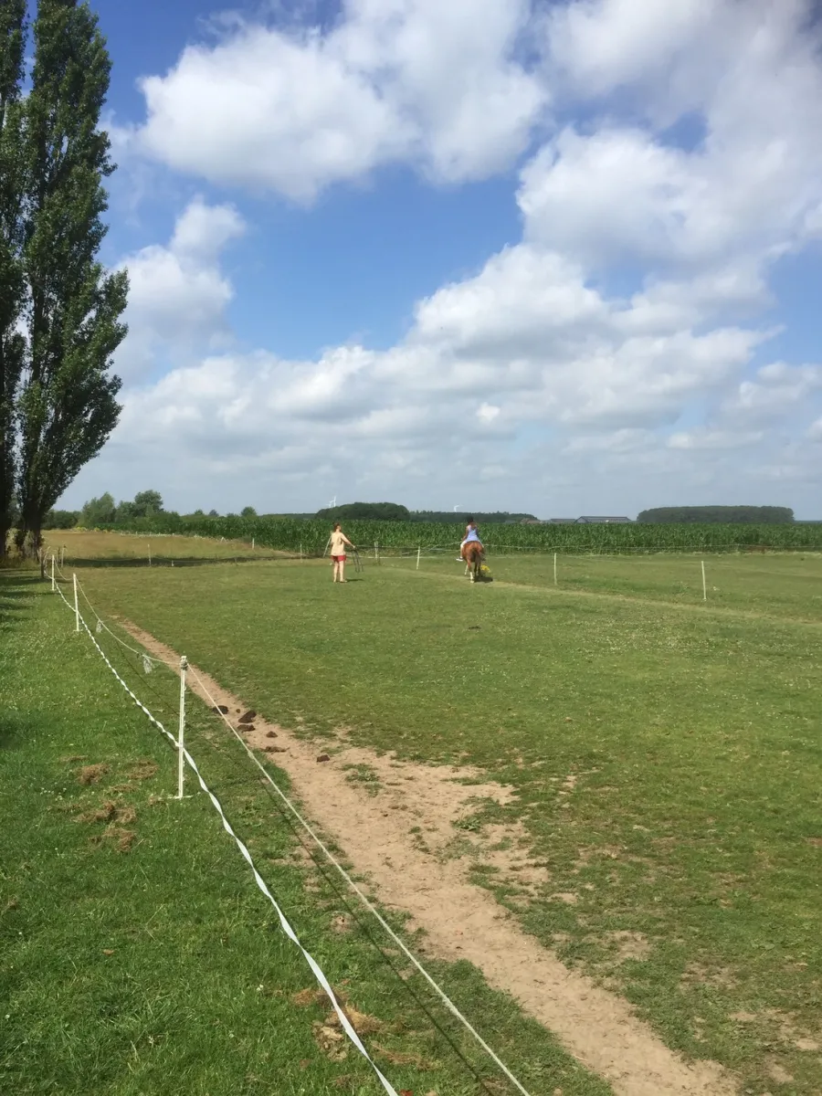 ponyboerderij-s-gravenhof-netterden-keknt