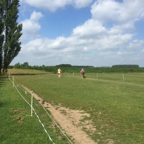 ponyboerderij-s-gravenhof-netterden-keknt