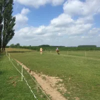 ponyboerderij-s-gravenhof-netterden-keknt