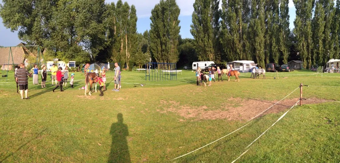 ponyboerderij-s-gravenhof-netterden-kewua