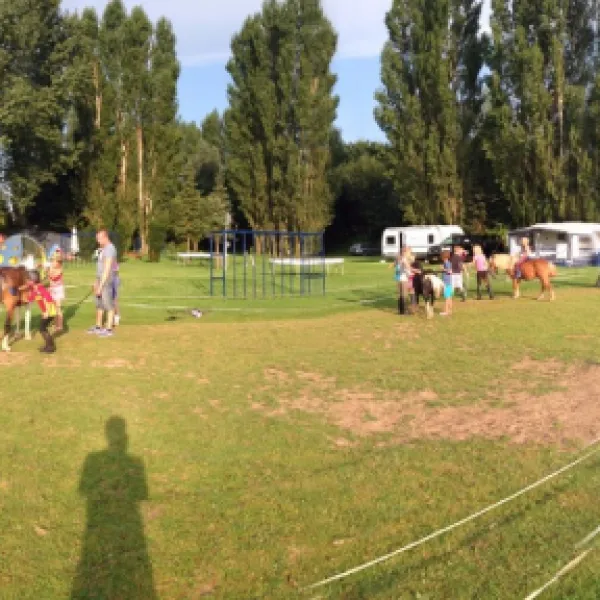 ponyboerderij-s-gravenhof-netterden-kewua
