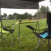 ponyboerderij-s-gravenhof-netterden-rb9f0