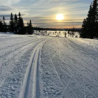 sjusjotunet-hytter-og-caravansenter-sjusjoen-6wpzw
