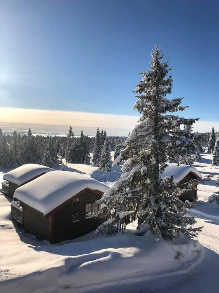 sjusjotunet-hytter-og-caravansenter-sjusjoen-zfwkw