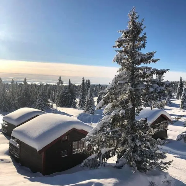 sjusjotunet-hytter-og-caravansenter-sjusjoen-zfwkw