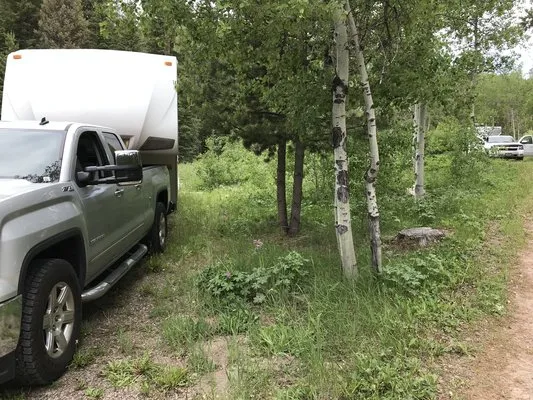 grasshopper-campground-polaris-mxzig