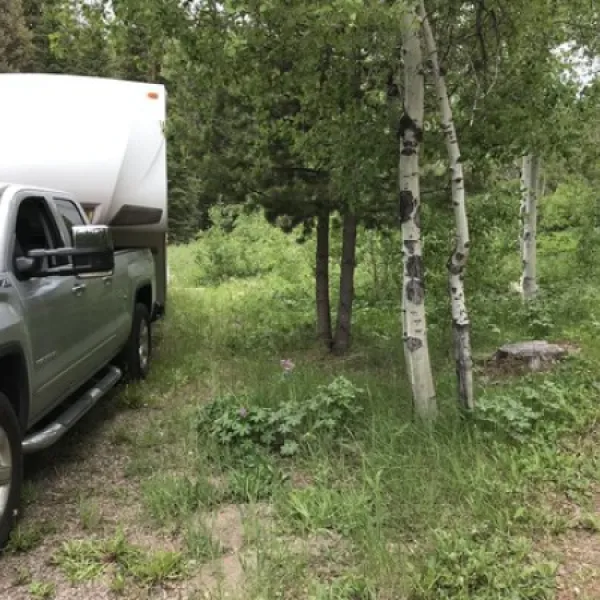 grasshopper-campground-polaris-mxzig