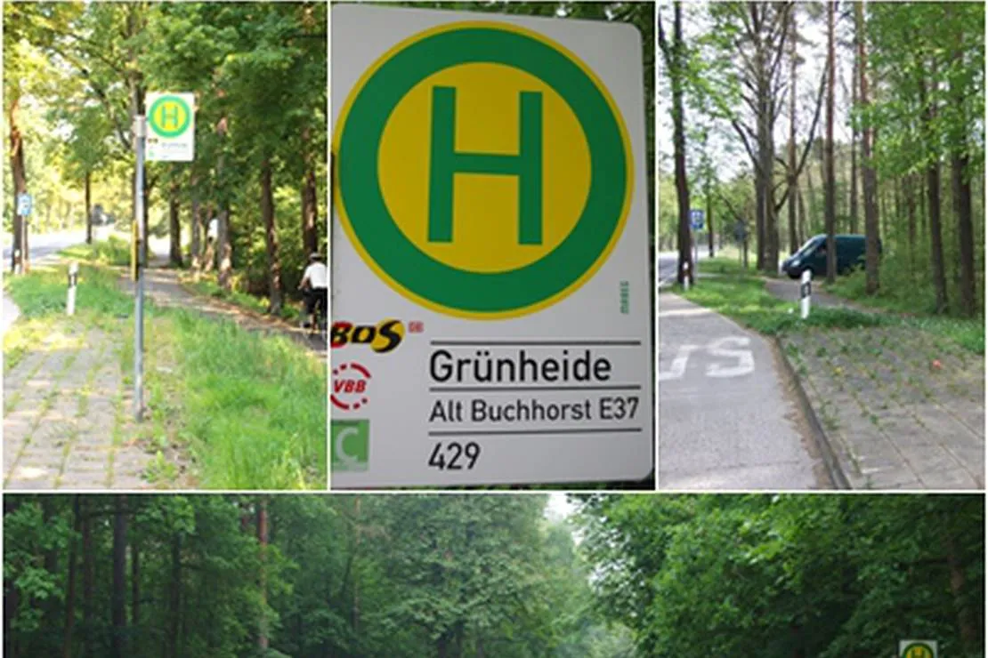 campingverein-mollensee-nord-grunheide-grunheide-ddhlk