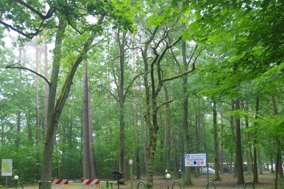 campingverein-mollensee-nord-grunheide-grunheide-fp9dw