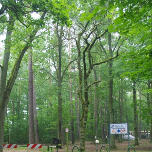 campingverein-mollensee-nord-grunheide-grunheide-fp9dw