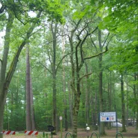 campingverein-mollensee-nord-grunheide-grunheide-fp9dw