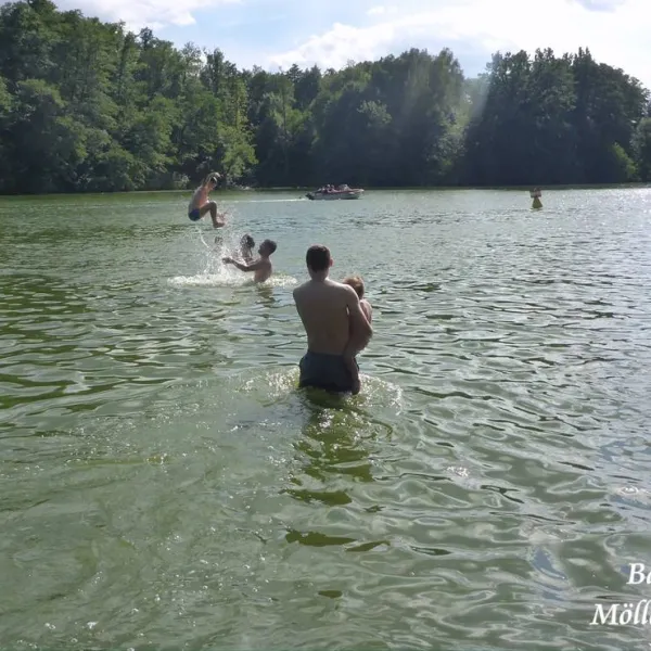 campingverein-mollensee-nord-grunheide-grunheide-tky3o